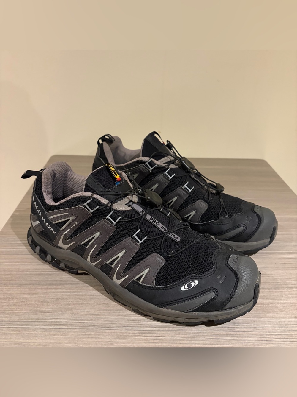Salomon Xa Pro 3D Ultra Mens Hiking Shoes